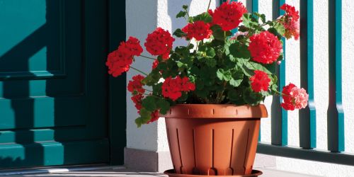 Gardening header 30d55325