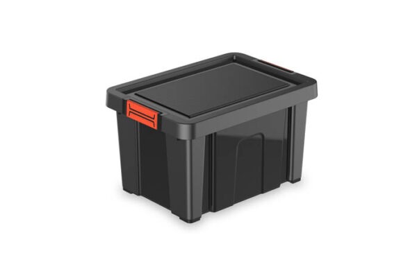 Bull Box 19 – Image 3